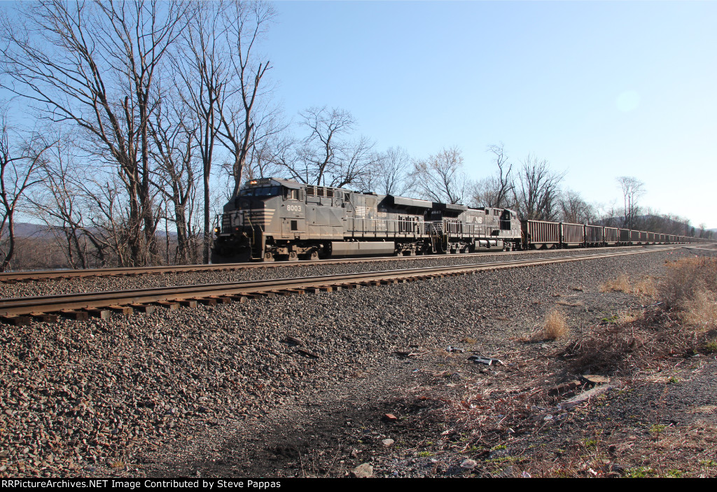 NS 8003 leading train 597 west with empty coal hoppers